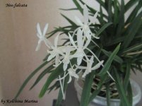 IMG_0368.JPG