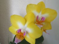 IMG_0391.JPG