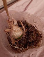 20201002_195129.jpg