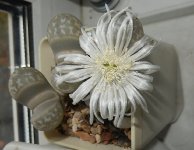 DSCN7656.JPG
