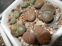 DSCN7658.JPG
