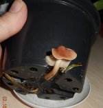 DSCN7655.JPG