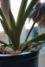 20201005_095811.jpg