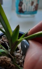 20201005_095830.jpg
