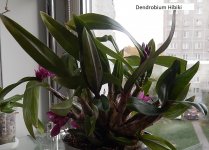 DSCN7671.JPG
