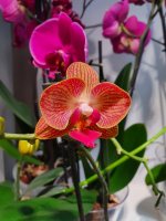 20201006_144015.jpg