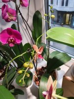 20201006_144030.jpg