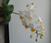 20120103_210141.jpg