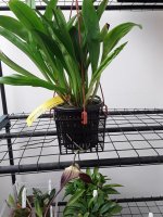 20201013_102044.jpg