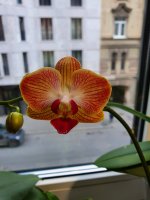 20201016_144115.jpg