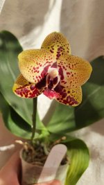 20201017_104746.jpg