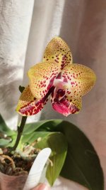 20201017_104717.jpg
