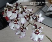 DSCN7690.JPG