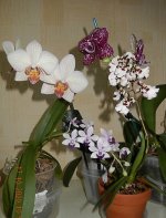 DSCN7693.JPG