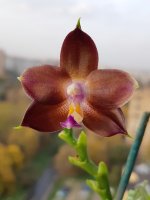 20201013_163459.jpg