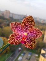 20201013_164418.jpg
