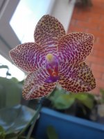 20201004_121208.jpg
