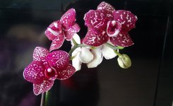 20201018_150710.jpg