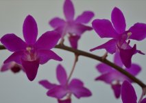 IMG_20201019_004012.jpg