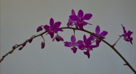 IMG_20201019_004210.jpg