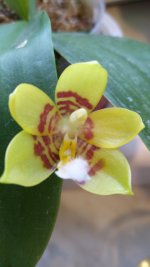 IMG_20201019_164125.jpg