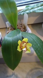 IMG_20201019_164131.jpg