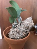 20201020_124229.jpg