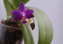 20120107_004013.jpg
