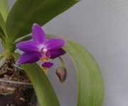 20120107_004107.jpg
