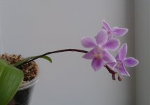 20120107_004310.jpg