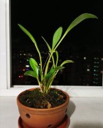 IMG_20201016_215049.jpg