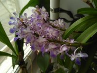 IMG_20201023_122449.jpg