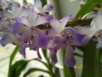 IMG_20201023_122510.jpg