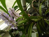 IMG_20201023_122520.jpg