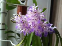 IMG_20201023_122549.jpg