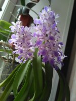 IMG_20201023_122714.jpg
