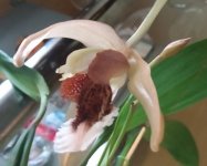 IMG_20201023_1556251.jpg
