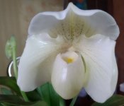 IMG_20201023_1557531.jpg