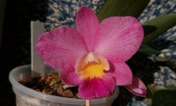 IMG_20201024_100255.jpg