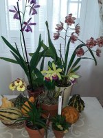 20201026_100526.jpg