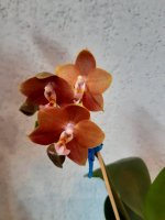 20201027_074942.jpg