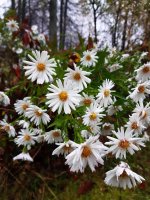 20201018_102630.jpg