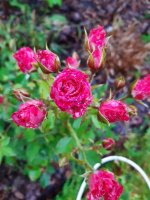 20201018_102551.jpg