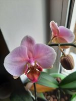 20201027_102506.jpg