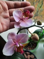 20201027_102523.jpg