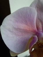 20201027_103802.jpg