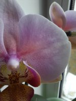 20201027_103757.jpg