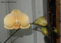 DSCN7704.JPG