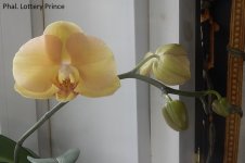DSCN7705.JPG
