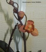 DSCN7701.JPG